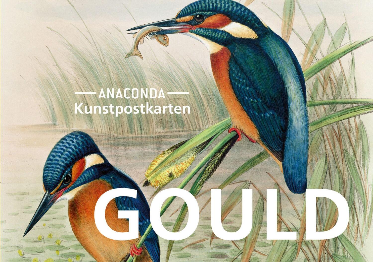 Cover: 9783730612255 | Postkarten-Set John Gould | Stück | Anaconda Postkarten | Deutsch