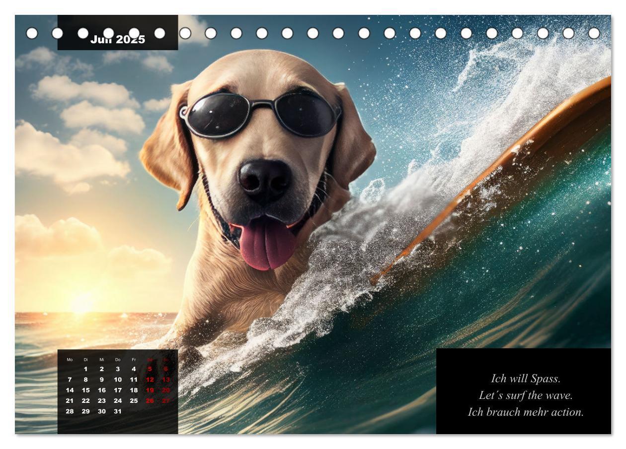 Bild: 9783435369027 | Der witzige Labrador-Kalender (Tischkalender 2025 DIN A5 quer),...