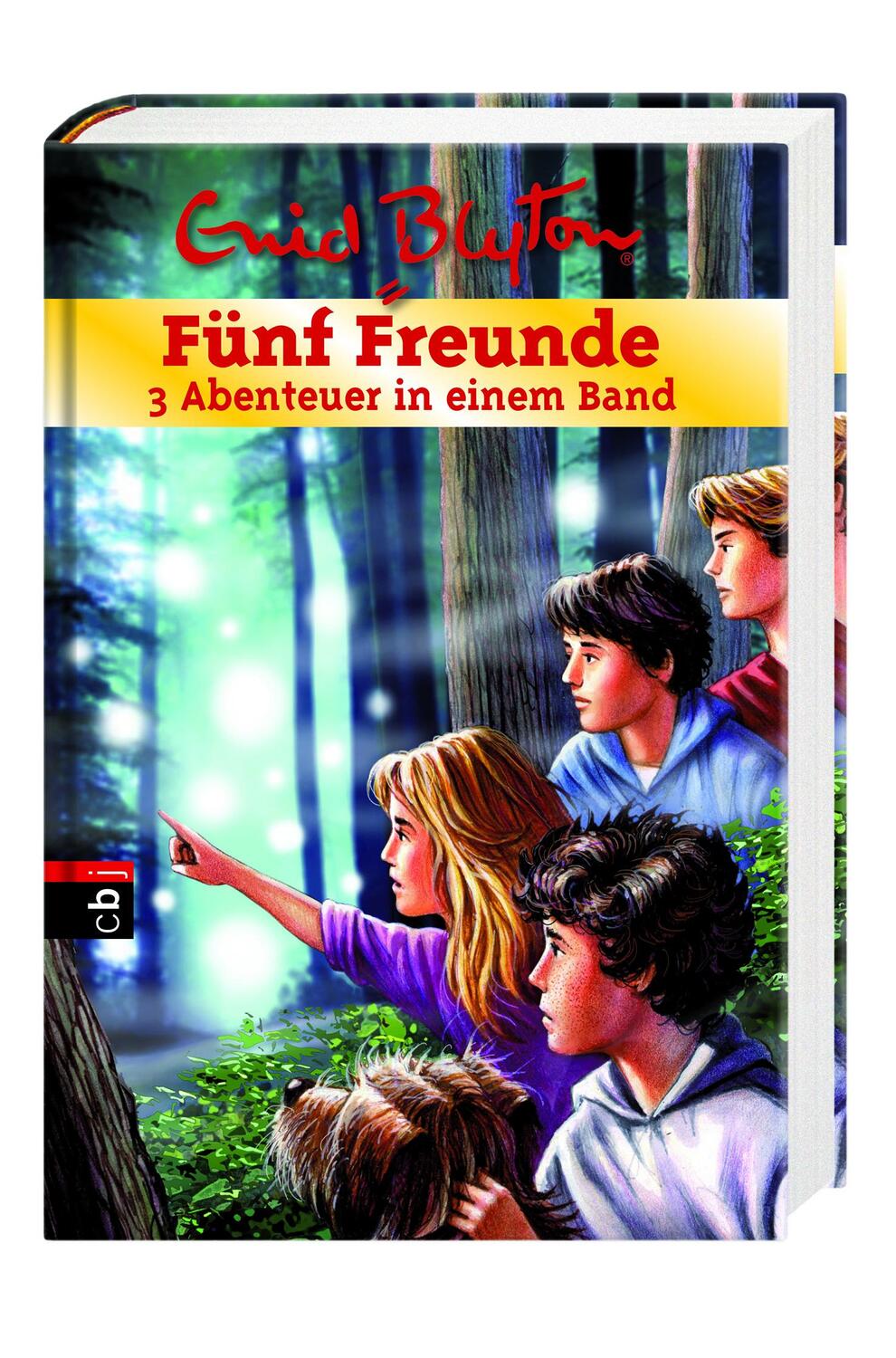 Bild: 9783570173121 | Fünf Freunde - 3 Abenteuer in einem Band | Enid Blyton | Buch | 462 S.