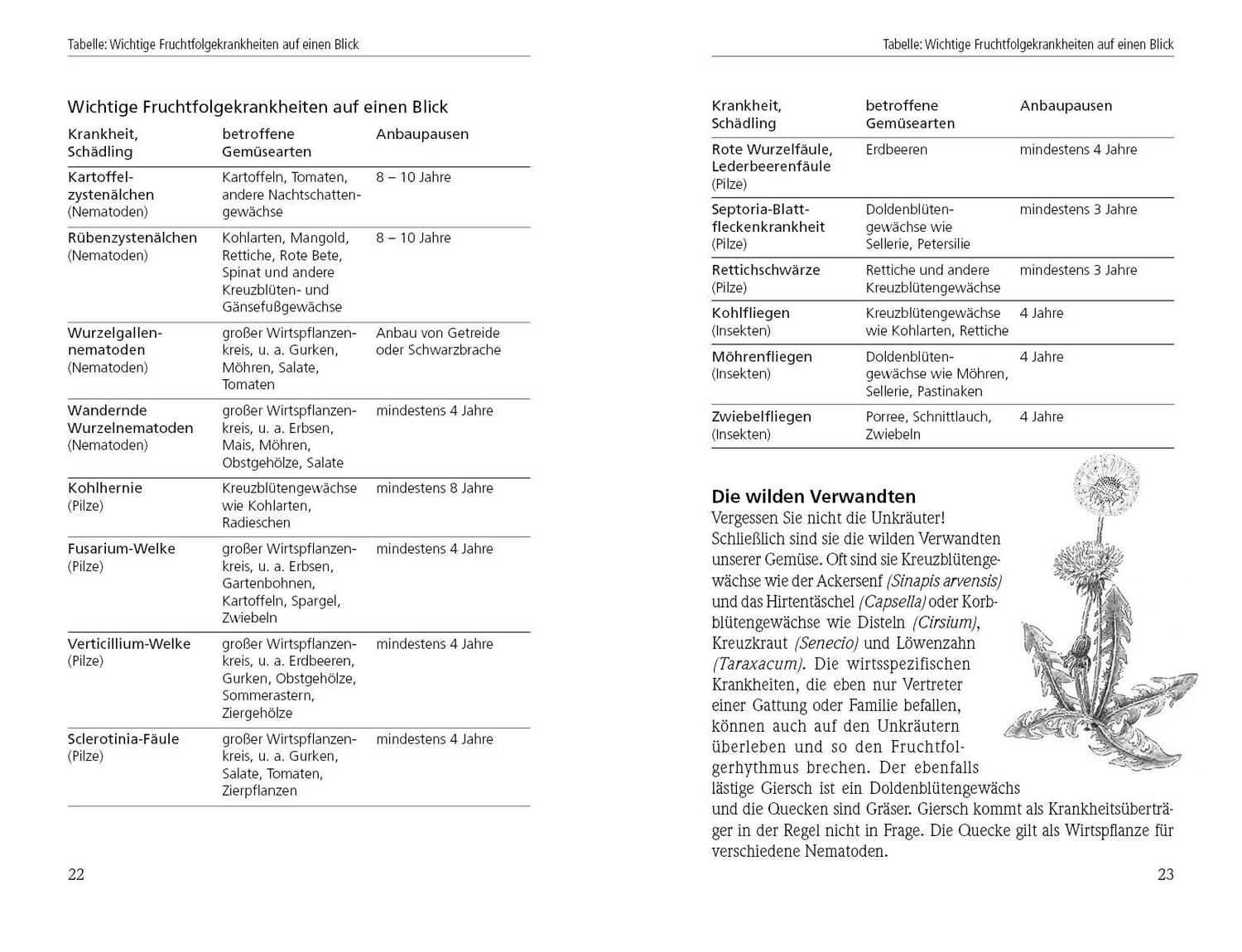 Bild: 9783895662577 | Auf gute Nachbarschaft | Natalie Faßmann | Buch | 158 S. | Deutsch