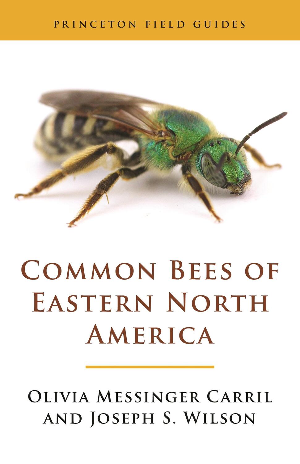 Cover: 9780691175492 | Common Bees of Eastern North America | Joseph S. Wilson (u. a.) | Buch