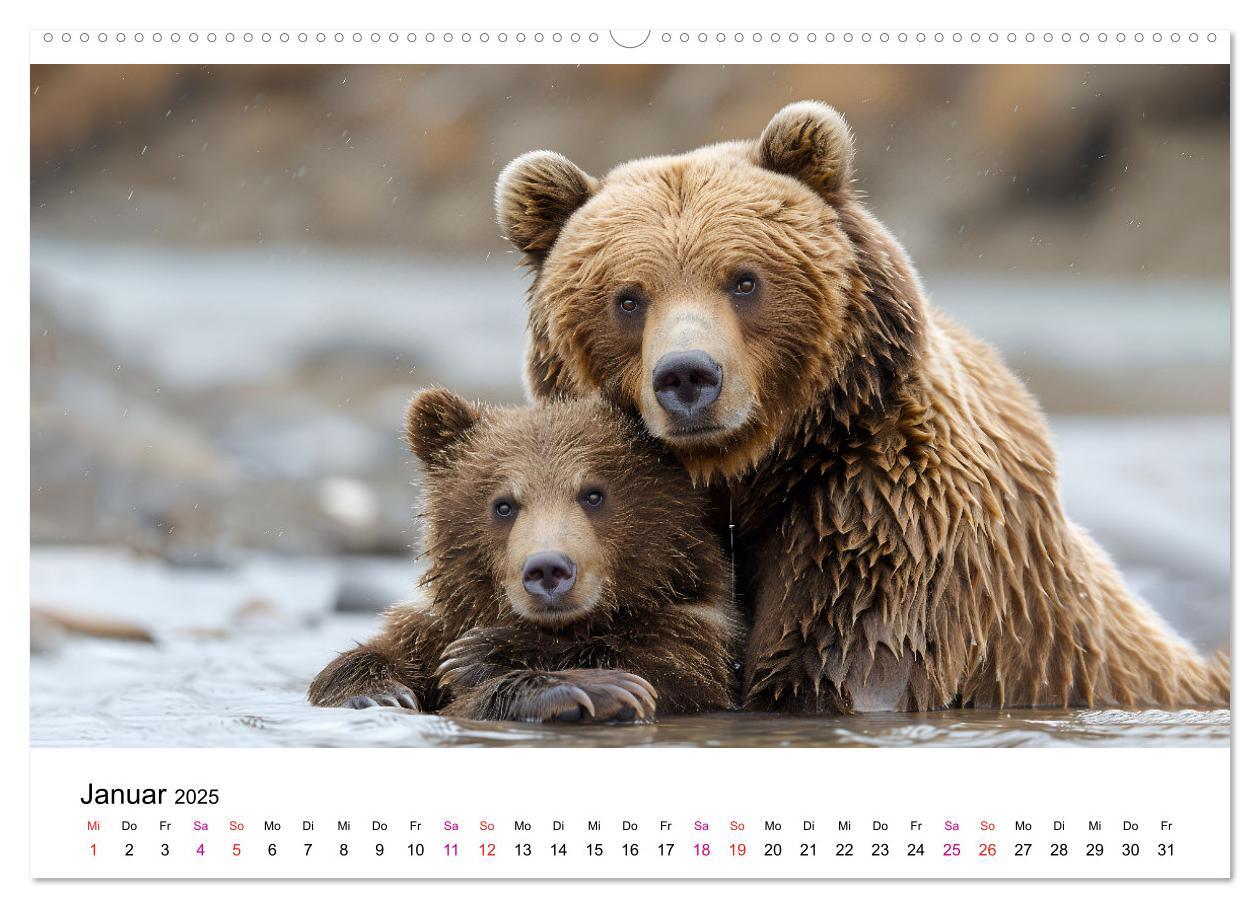 Bild: 9783457170472 | Bären - gefährlich nett (hochwertiger Premium Wandkalender 2025 DIN...