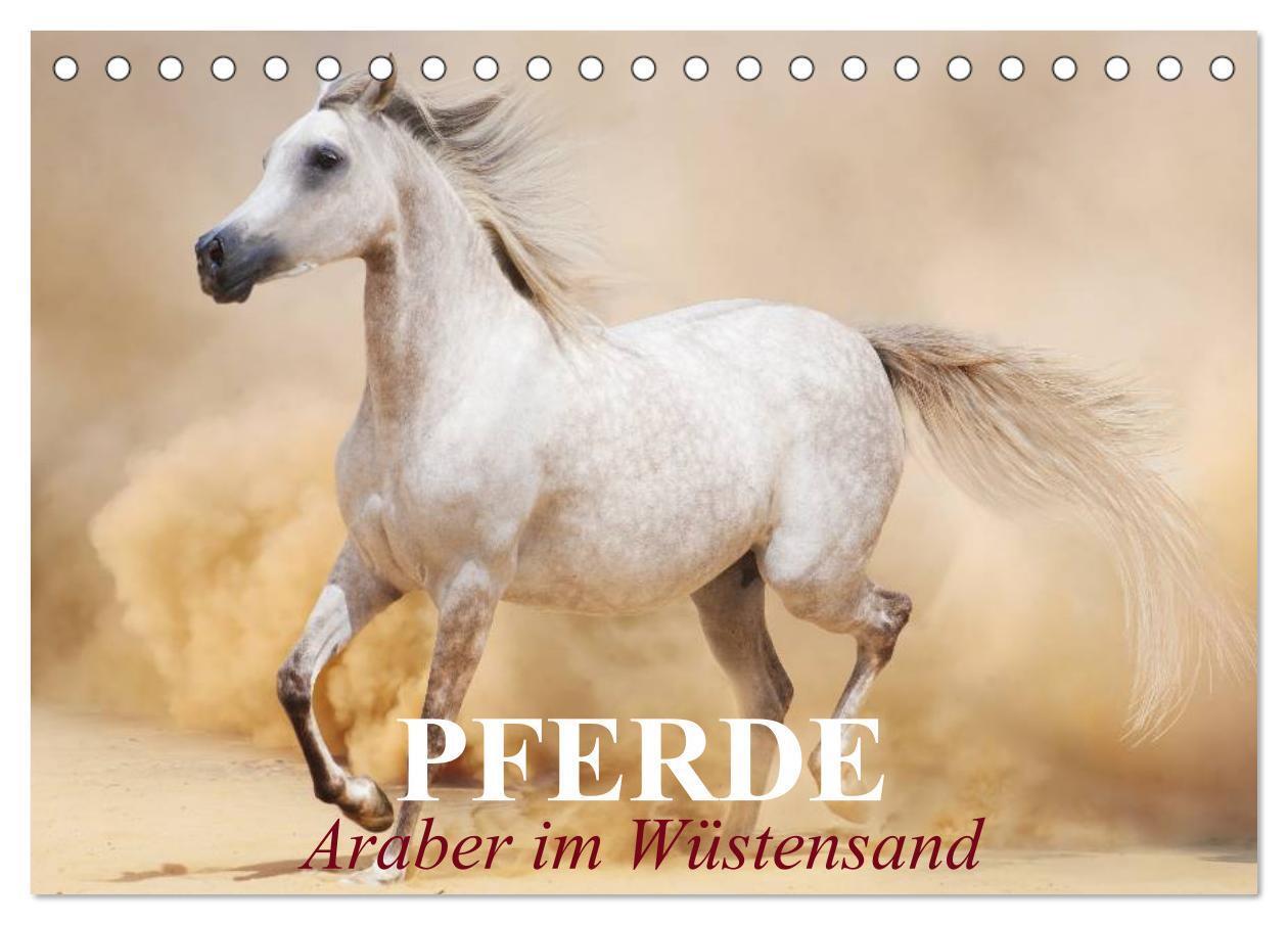 Cover: 9783675961920 | Pferde ¿ Araber im Wüstensand (Tischkalender 2024 DIN A5 quer),...