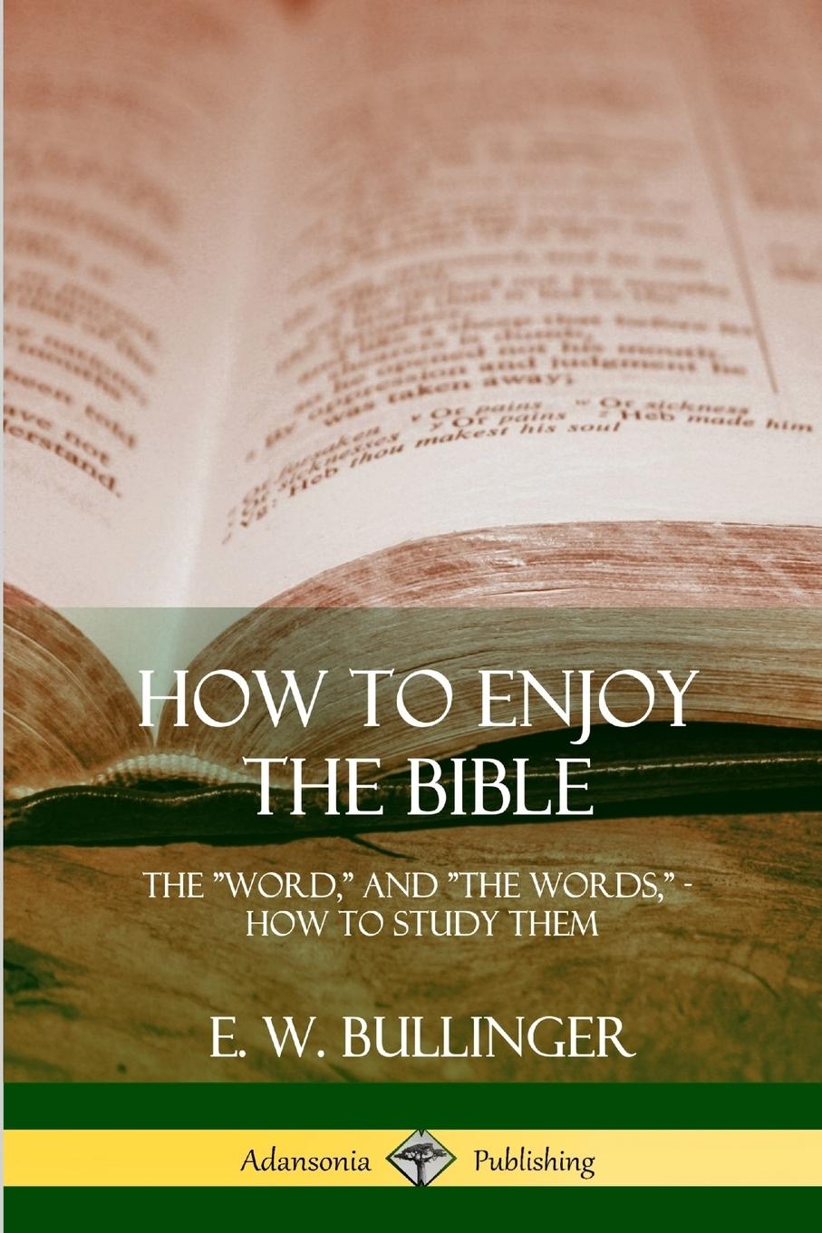 Cover: 9781387997435 | How to Enjoy the Bible | E. W. Bullinger | Taschenbuch | Englisch