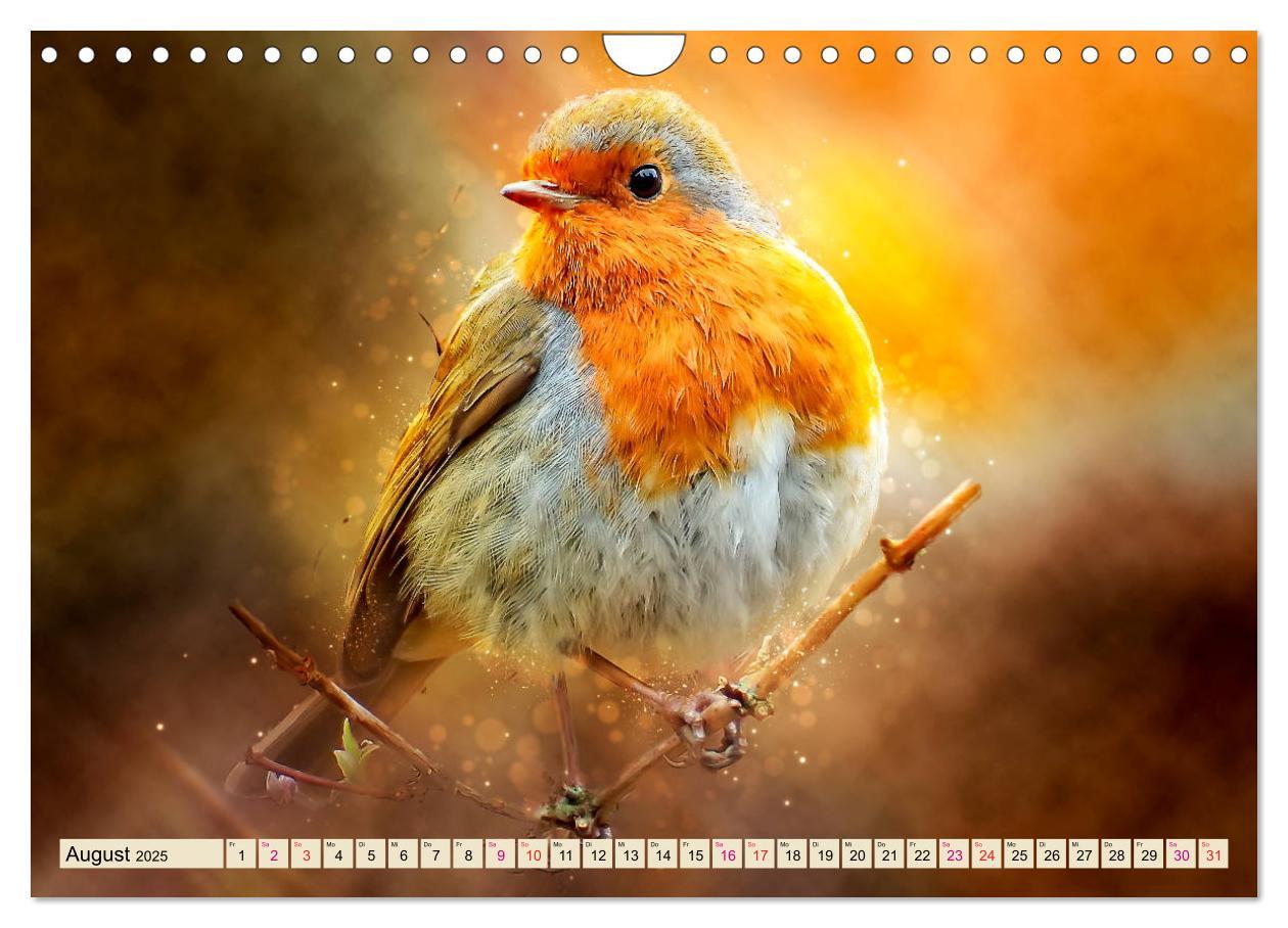 Bild: 9783435334100 | Bei uns im Garten - Rotkehlchen (Wandkalender 2025 DIN A4 quer),...