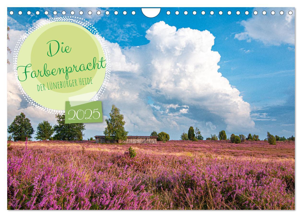 Cover: 9783383984419 | Die Farbenpracht der Lüneburger Heide (Wandkalender 2025 DIN A4...