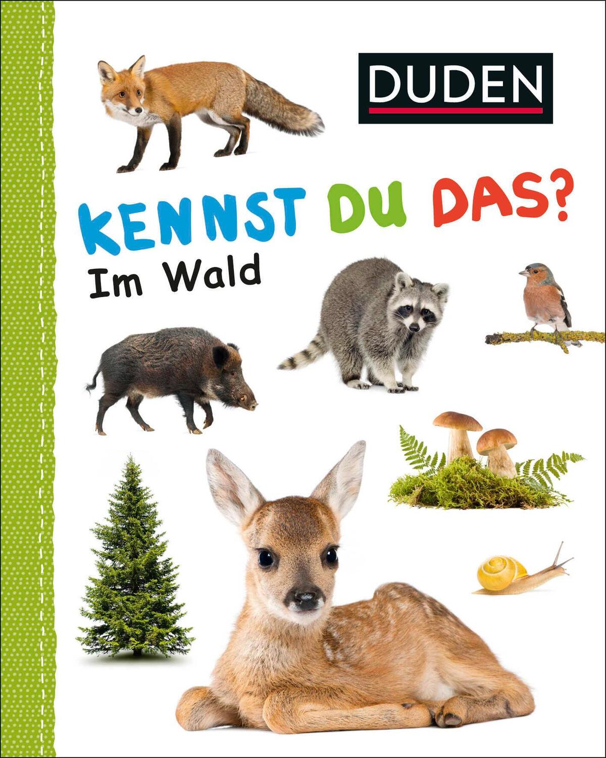 Cover: 9783737334310 | Duden 12+: Kennst du das? Im Wald | ab 12 Monaten | Buch | 28 S.