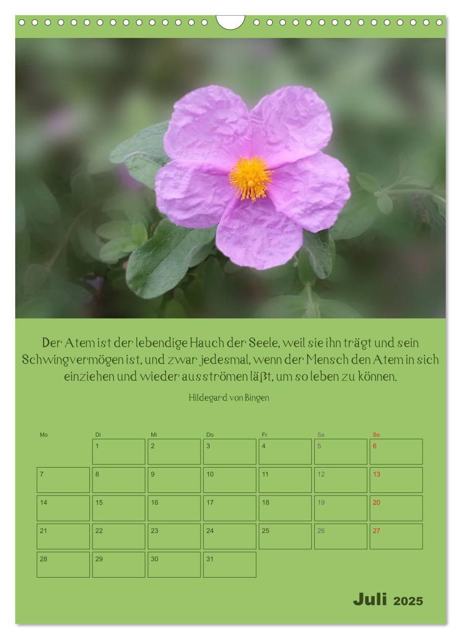 Bild: 9783457059746 | Erkenntnis und Weisheit - Hildegard von Bingen (Wandkalender 2025...