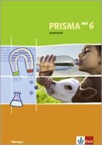 Cover: 9783120688174 | Prisma Mensch - Natur - Technik für Thüringen. Arbeitsheft 6....