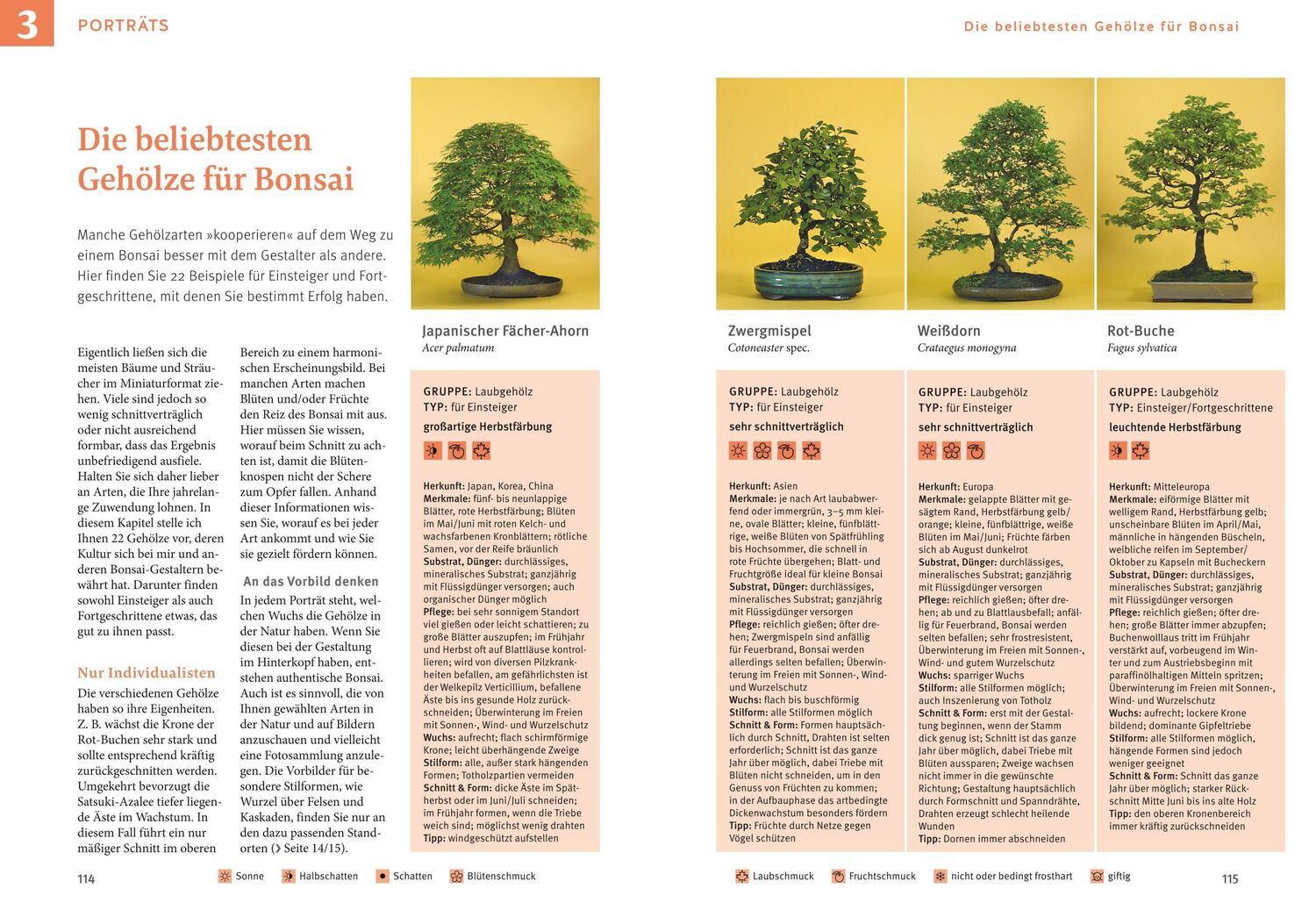 Bild: 9783833894961 | Bonsai ziehen, gestalten und pflegen | Johann Kastner | Buch | 128 S.