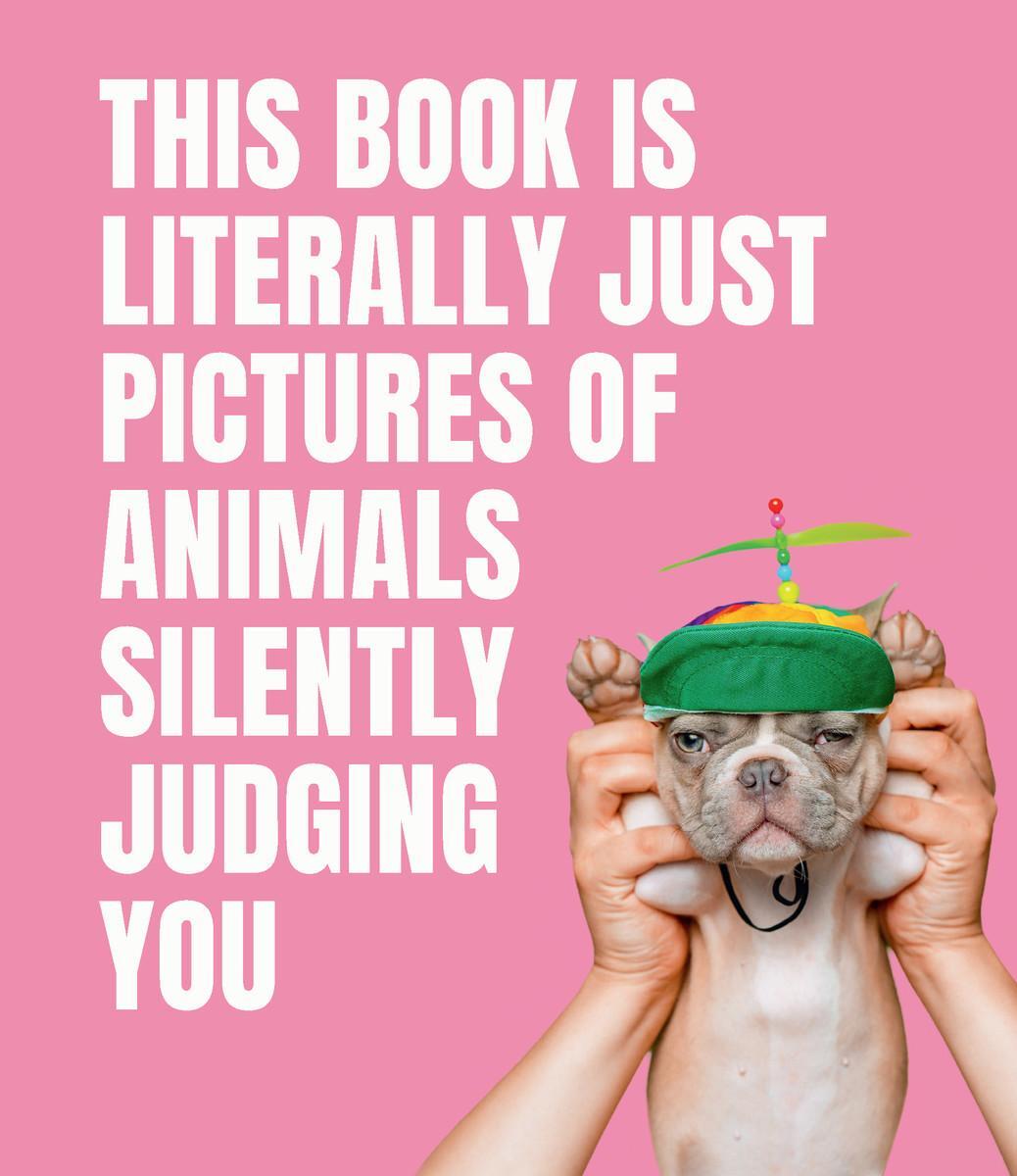 Cover: 9781922417046 | This Book is Literally Just Pictures of Animals Silently Judging You
