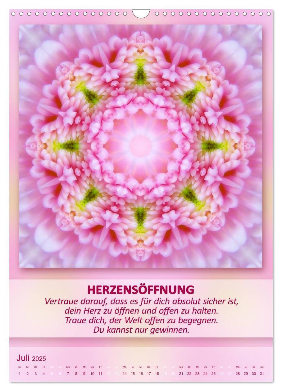 Bild: 9783457086209 | Light Energy Mandalas - Kalender - Vol. 1 (Wandkalender 2025 DIN A3...