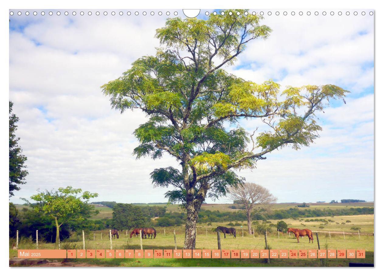 Bild: 9783435222803 | Uruguay - Bienvenido al Río de la Plata (Wandkalender 2025 DIN A3...