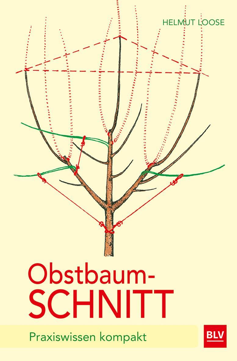 Cover: 9783835414525 | Obstbaumschnitt | Praxiswissen kompakt | Helmut Loose | Taschenbuch