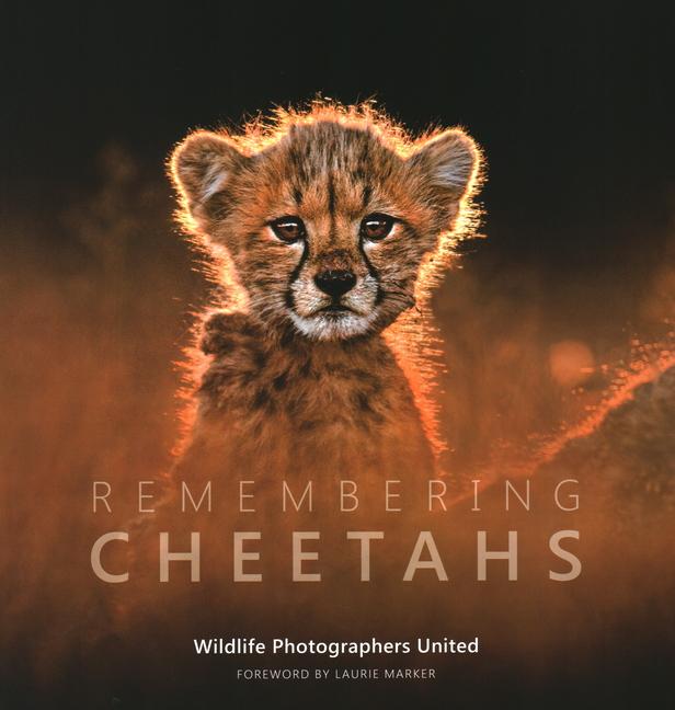 Cover: 9781999643331 | Remembering Cheetahs | Margot Raggett | Buch | Remembering Wildlife