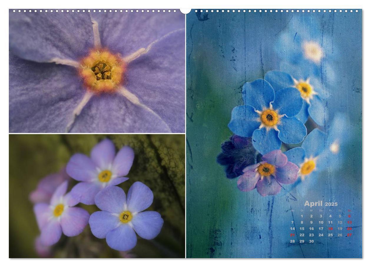 Bild: 9783435602469 | Blumenreise 2025 (hochwertiger Premium Wandkalender 2025 DIN A2...