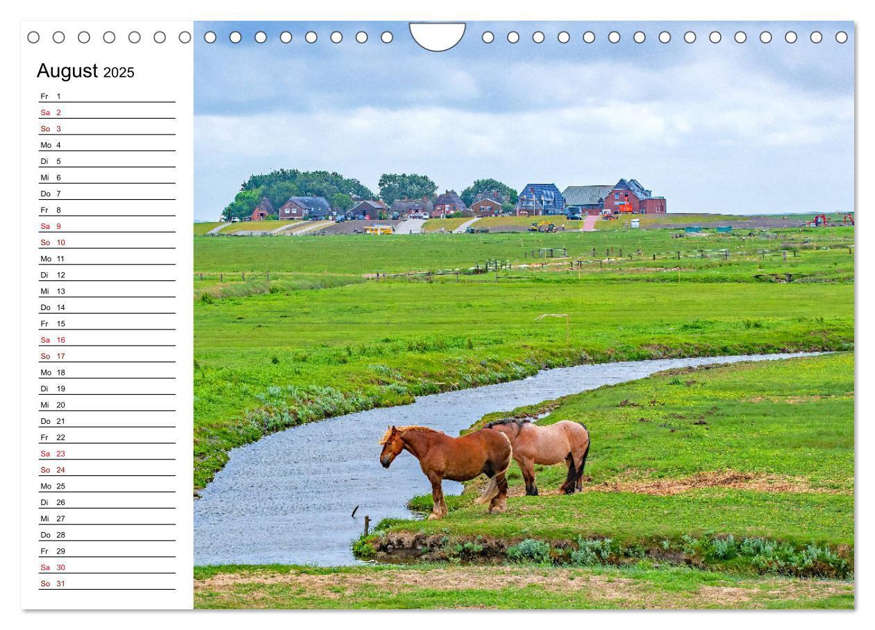 Bild: 9783435115648 | Hallig Hooge - Romantik Pur (Wandkalender 2025 DIN A4 quer),...