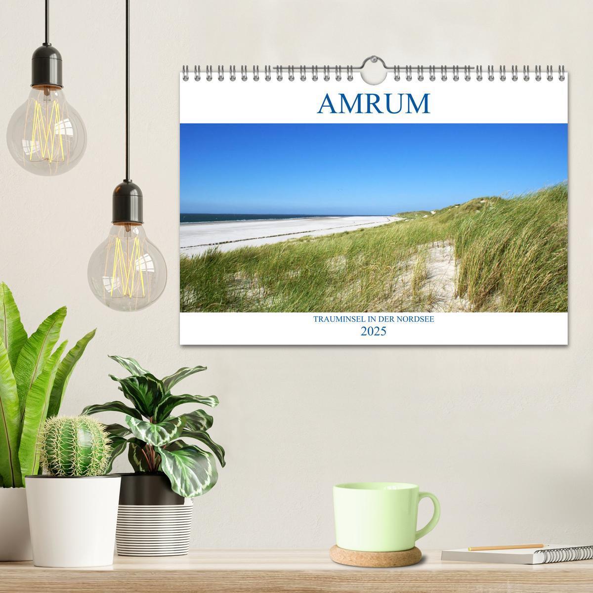 Bild: 9783435491285 | Amrum ¿ Trauminsel in der Nordsee (Wandkalender 2025 DIN A4 quer),...