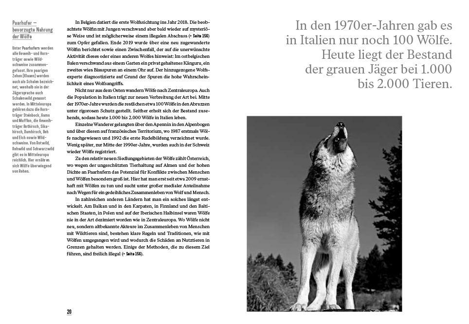 Bild: 9783711002587 | Er ist da | Der Wolf kehrt zurück | Klaus Hackländer | Buch | Deutsch