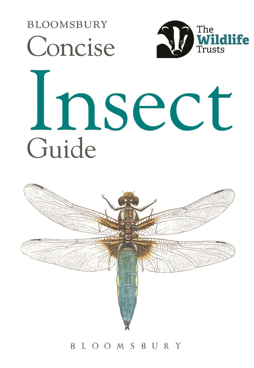 Cover: 9781472963765 | Concise Insect Guide | Bloomsbury | Taschenbuch | Englisch | 2018
