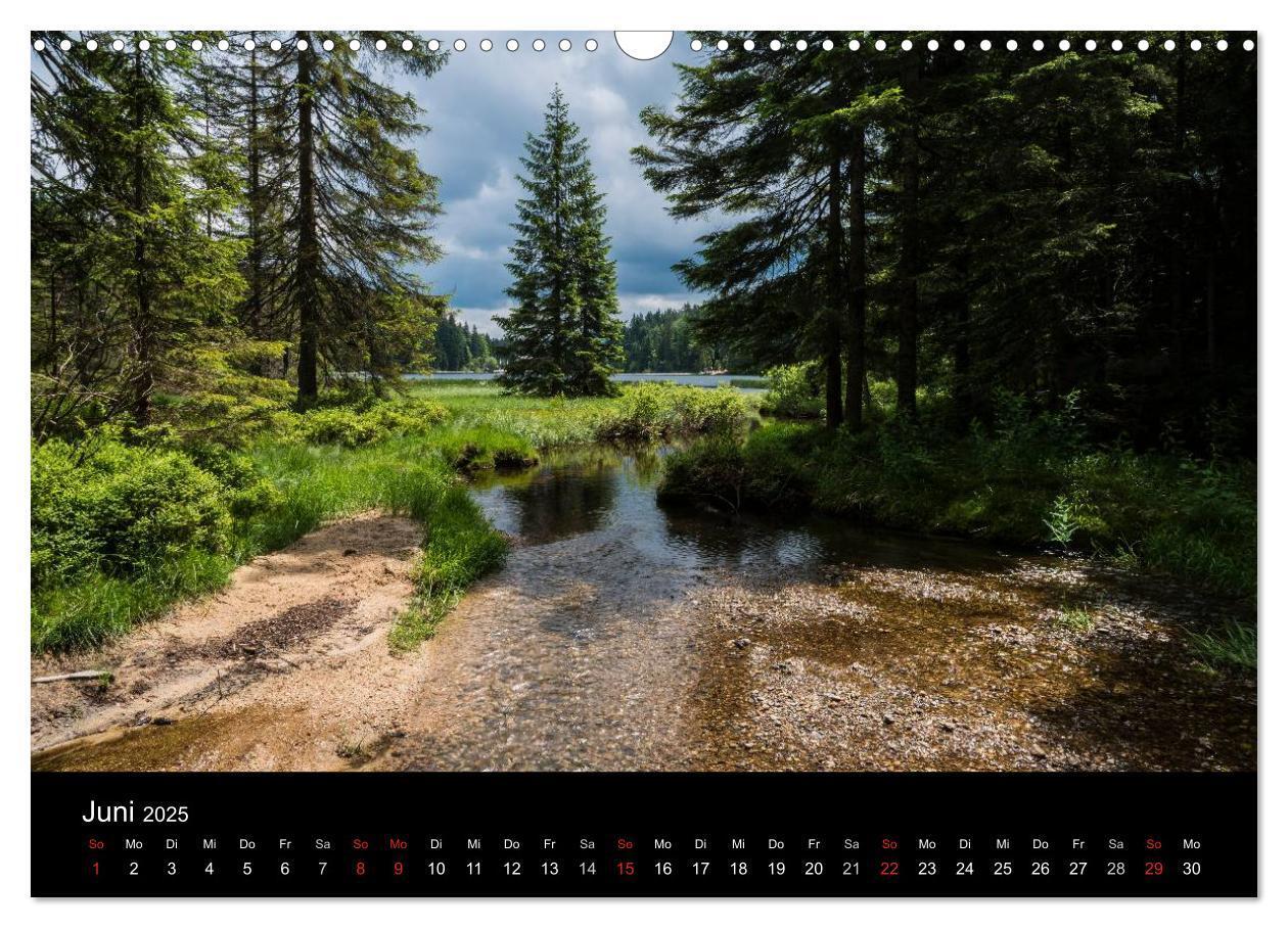 Bild: 9783435722655 | Bayerischer Wald (Wandkalender 2025 DIN A3 quer), CALVENDO...