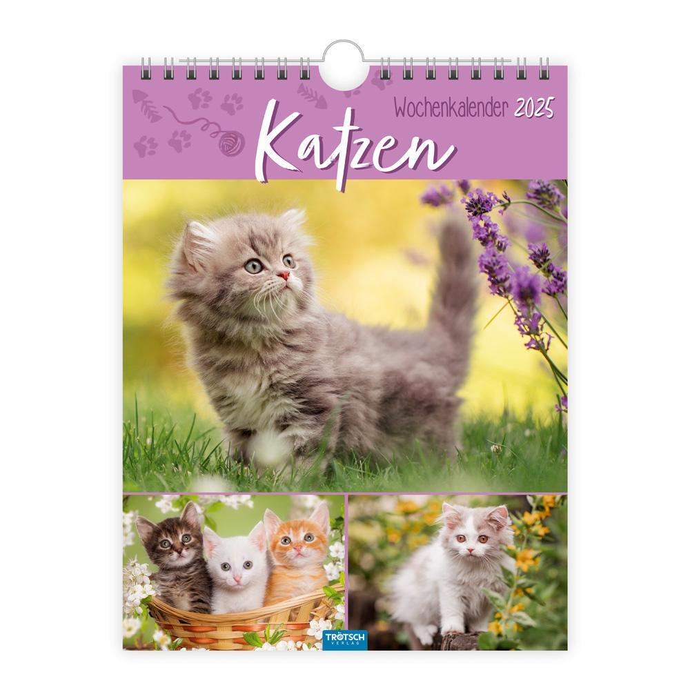 Cover: 9783988022707 | Trötsch Wochenkalender zum Hängen Katzen 2025 | Wandkalender | KG