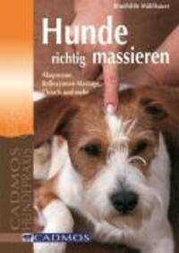 Cover: 9783861277408 | Hunde richtig massieren | Brunhilde Mühlbauer | Taschenbuch | Deutsch