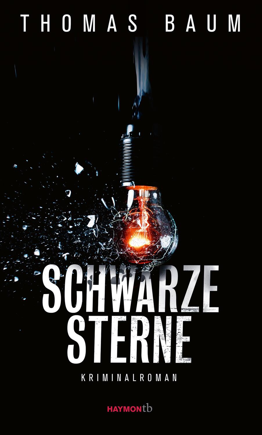 Cover: 9783709979358 | Schwarze Sterne | Kriminalroman | Thomas Baum | Taschenbuch | 304 S.