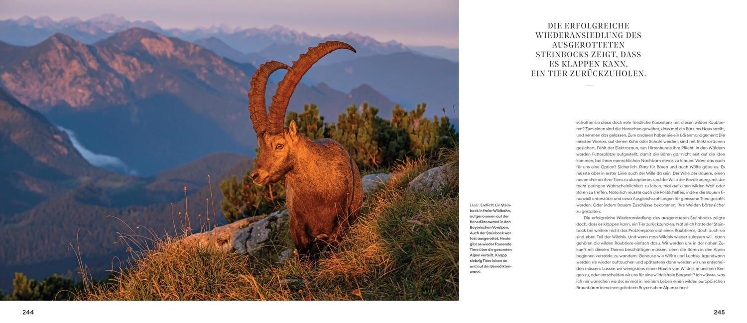 Bild: 9783957284112 | Naturwunder Bayerische Alpen | Bernd Römmelt | Buch | 256 S. | Deutsch