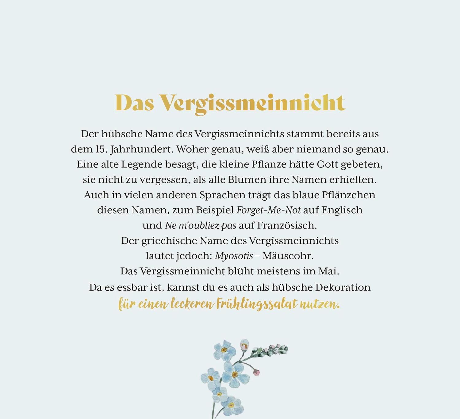 Bild: 9783848502240 | Kleine Wunder in meinem Garten | Groh Verlag | Taschenbuch | 144 S.