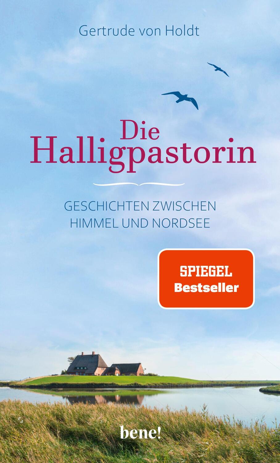 Cover: 9783963401800 | Die Halligpastorin | Geschichten zwischen Himmel und Nordsee | Holdt