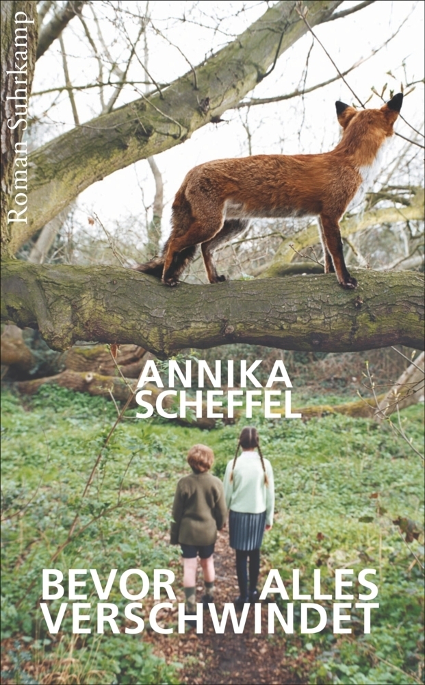 Cover: 9783518466773 | Bevor alles verschwindet | Annika Scheffel | Taschenbuch | 2016