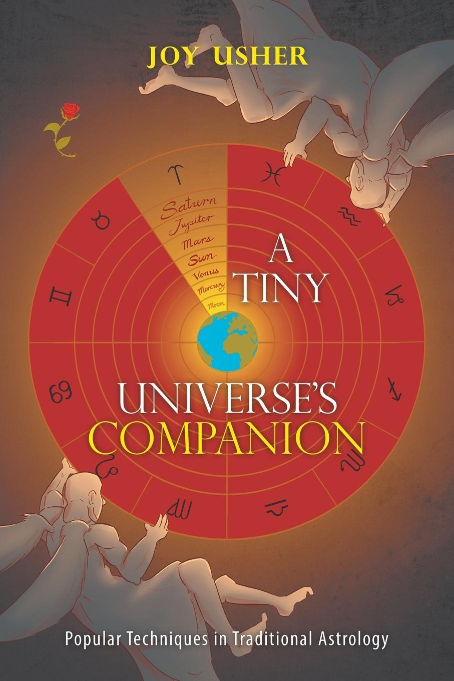 Cover: 9781543407020 | A Tiny Universe'S Companion | Joy Usher | Taschenbuch | Paperback