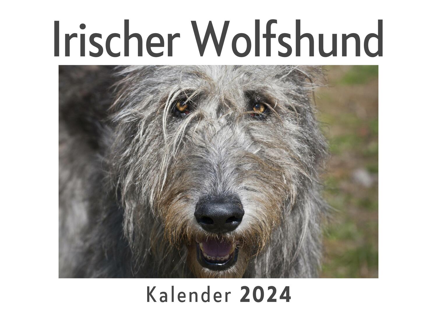 Cover: 9783750557413 | Irischer Wolfshund (Wandkalender 2024, Kalender DIN A4 quer,...