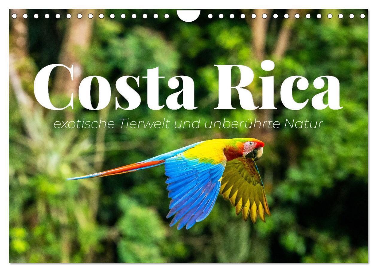 Cover: 9783675435568 | Costa Rica - exotische Tierwelt und unberührte Natur (Wandkalender...