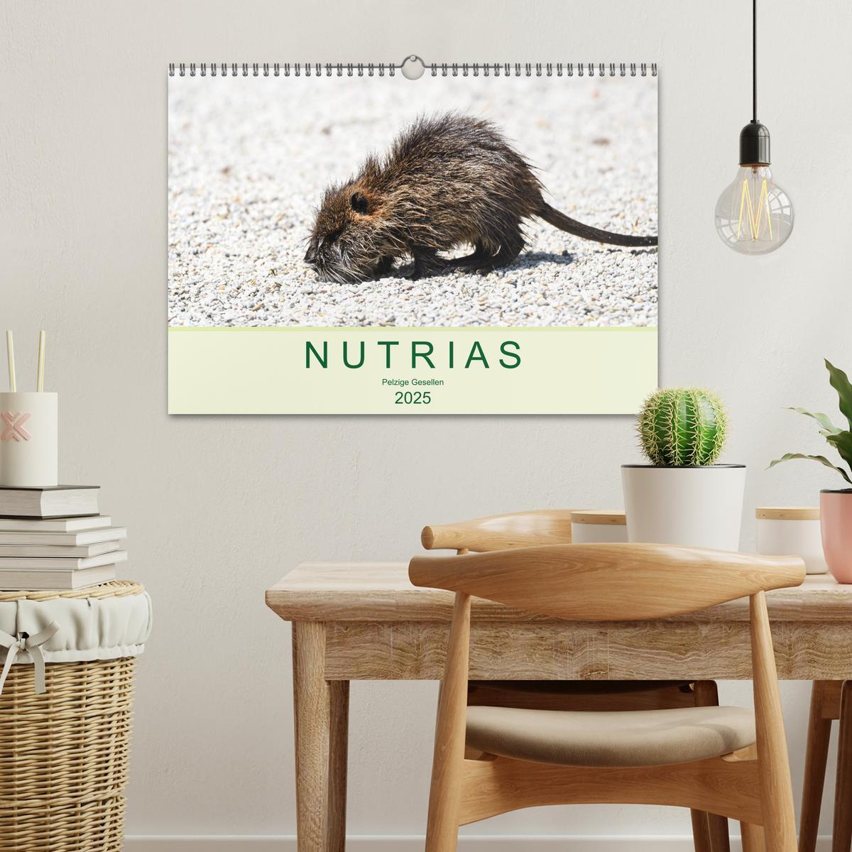 Bild: 9783435117727 | NUTRIAS - Pelzige Gesellen (Wandkalender 2025 DIN A3 quer),...