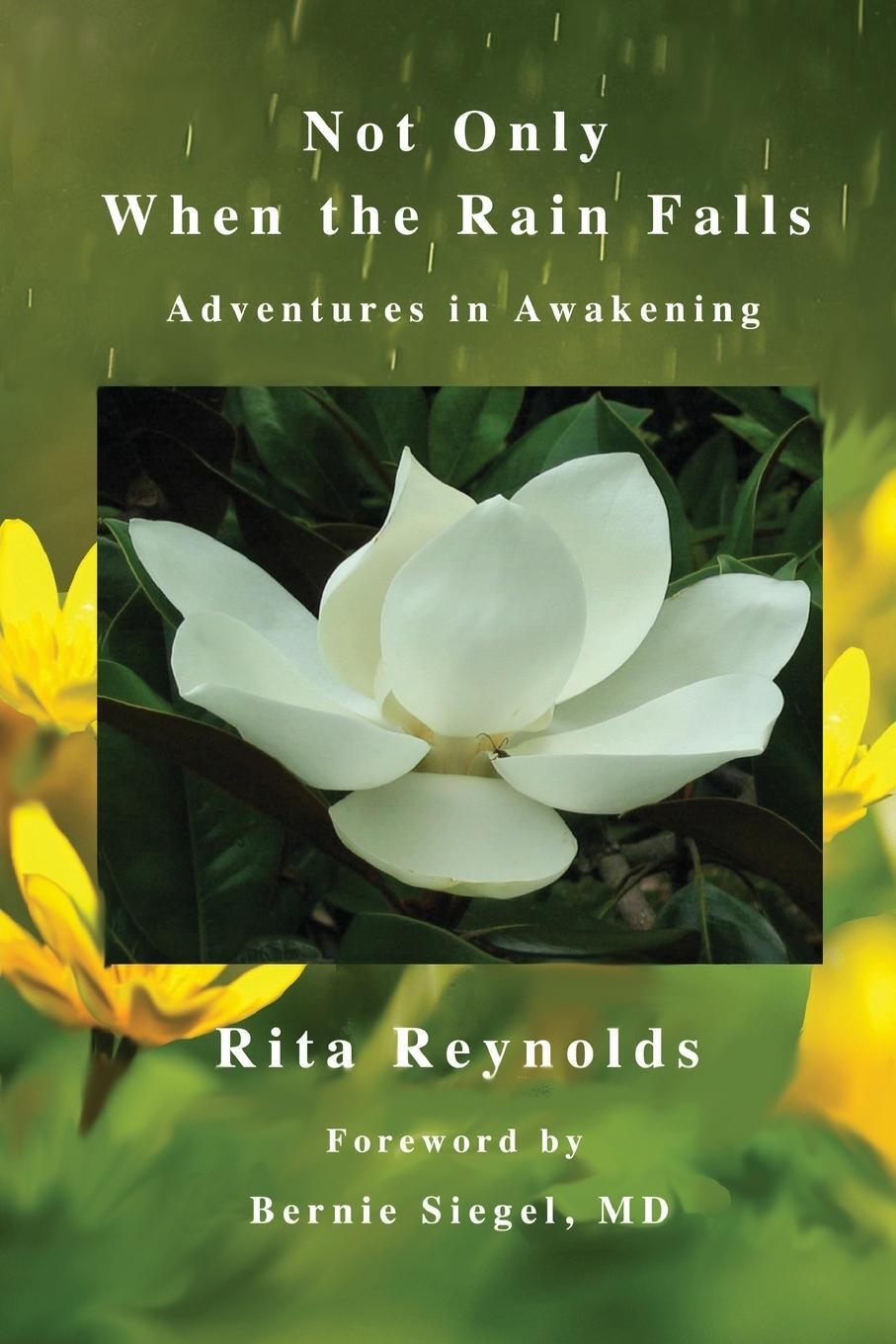 Cover: 9780998171913 | Not Only When The Rain Falls | Adventures in Awakening | Rita Reynolds