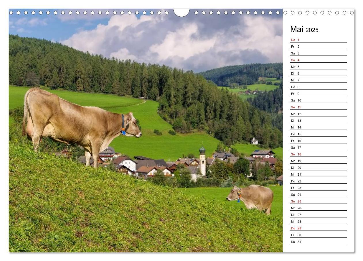 Bild: 9783435548460 | Pustertal - Das grüne Tal Südtirols (Wandkalender 2025 DIN A3...