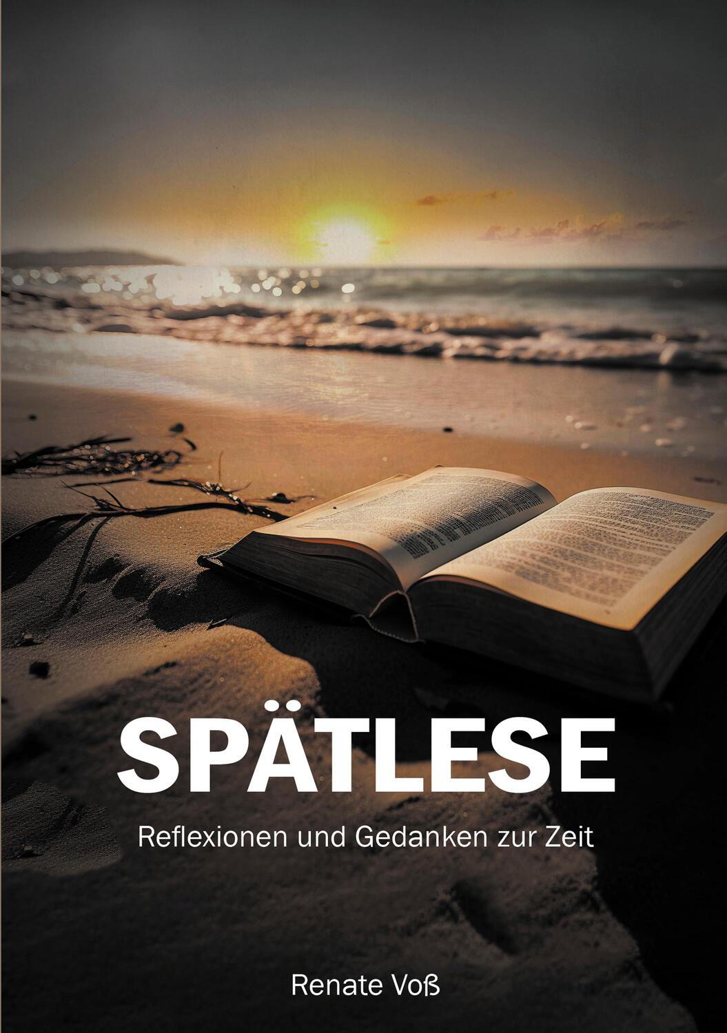 Cover: 9783880216747 | Spätlese | Reflexionen und Gedanken zur Zeit | Renate Voß | Buch