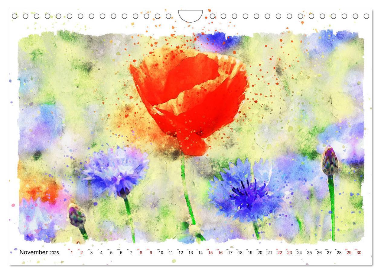 Bild: 9783435141241 | Mohnblüten in Aquarell (Wandkalender 2025 DIN A4 quer), CALVENDO...