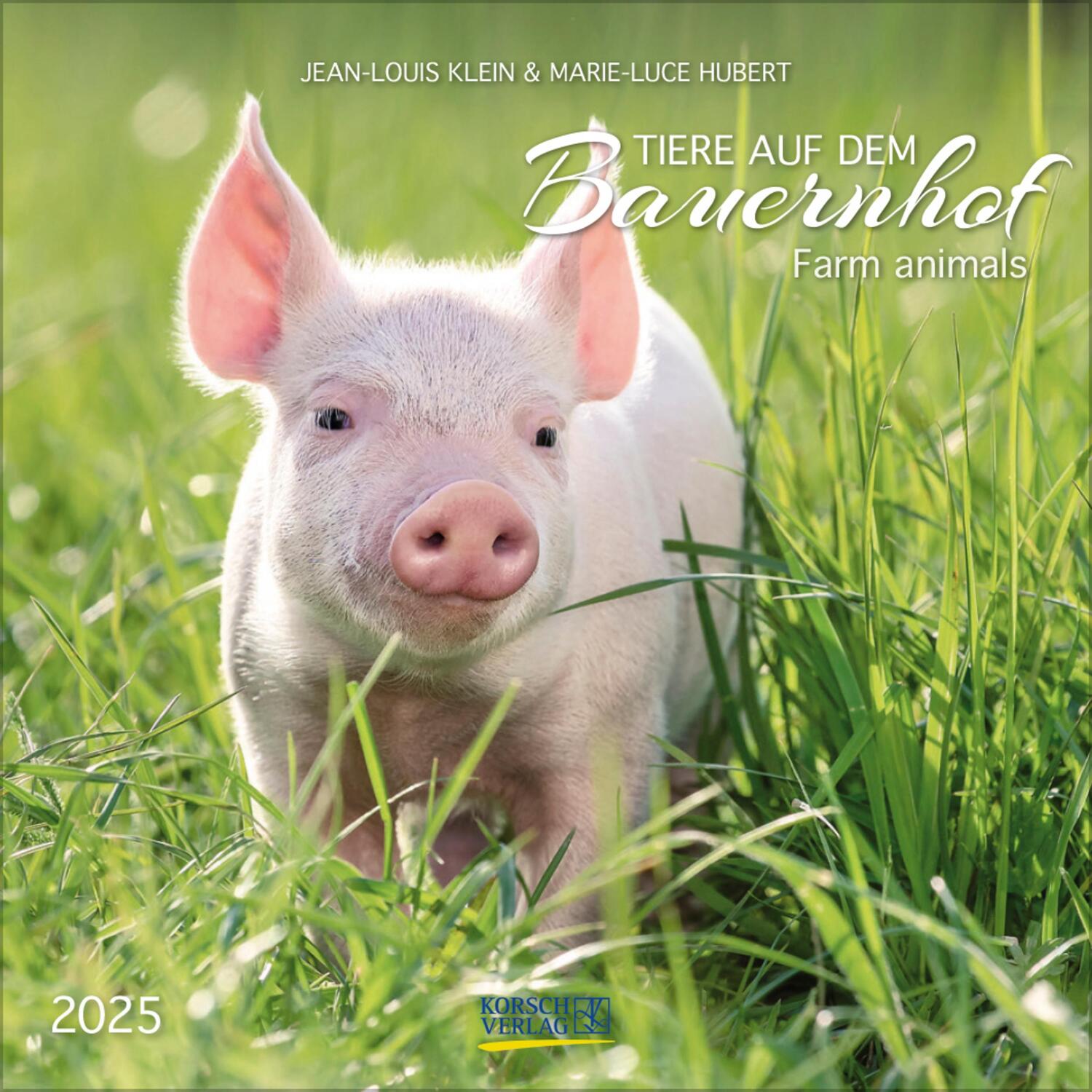 Cover: 9783731876427 | Tiere auf dem Bauernhof 2025 | Verlag Korsch | Kalender | 13 S. | 2025