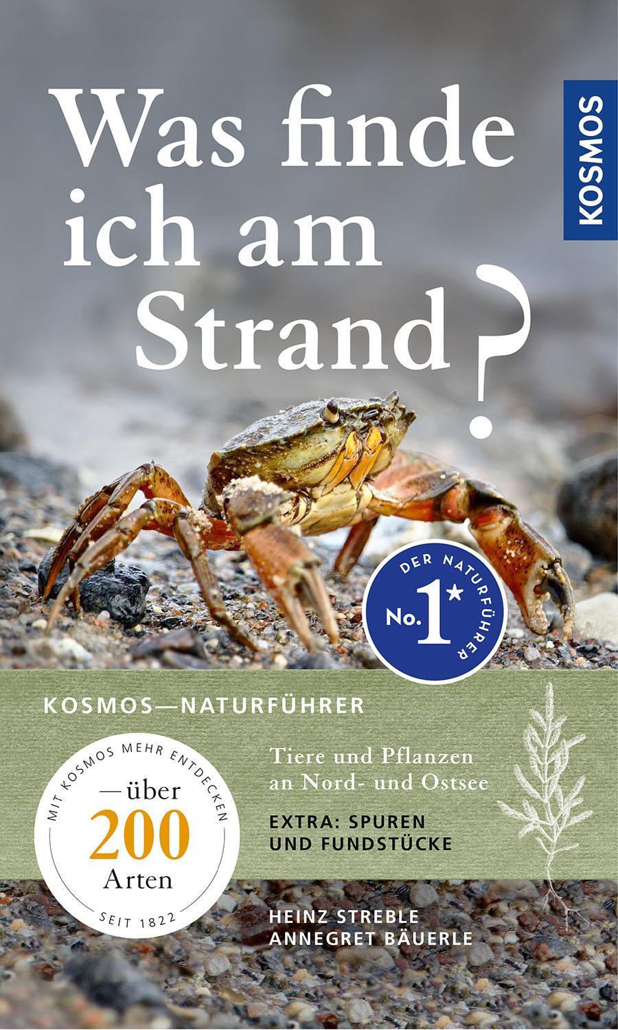 Cover: 9783440173831 | Was finde ich am Strand? | Heinz Streble (u. a.) | Taschenbuch | 2022