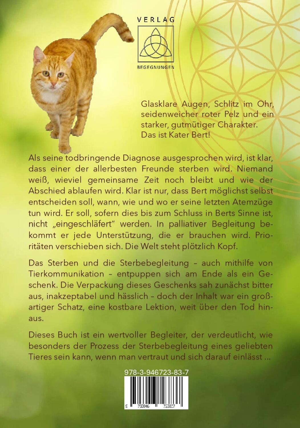 Rückseite: 9783946723837 | Sieben Wochen Abschied von Bert | Anja Link | Taschenbuch | 170 S.