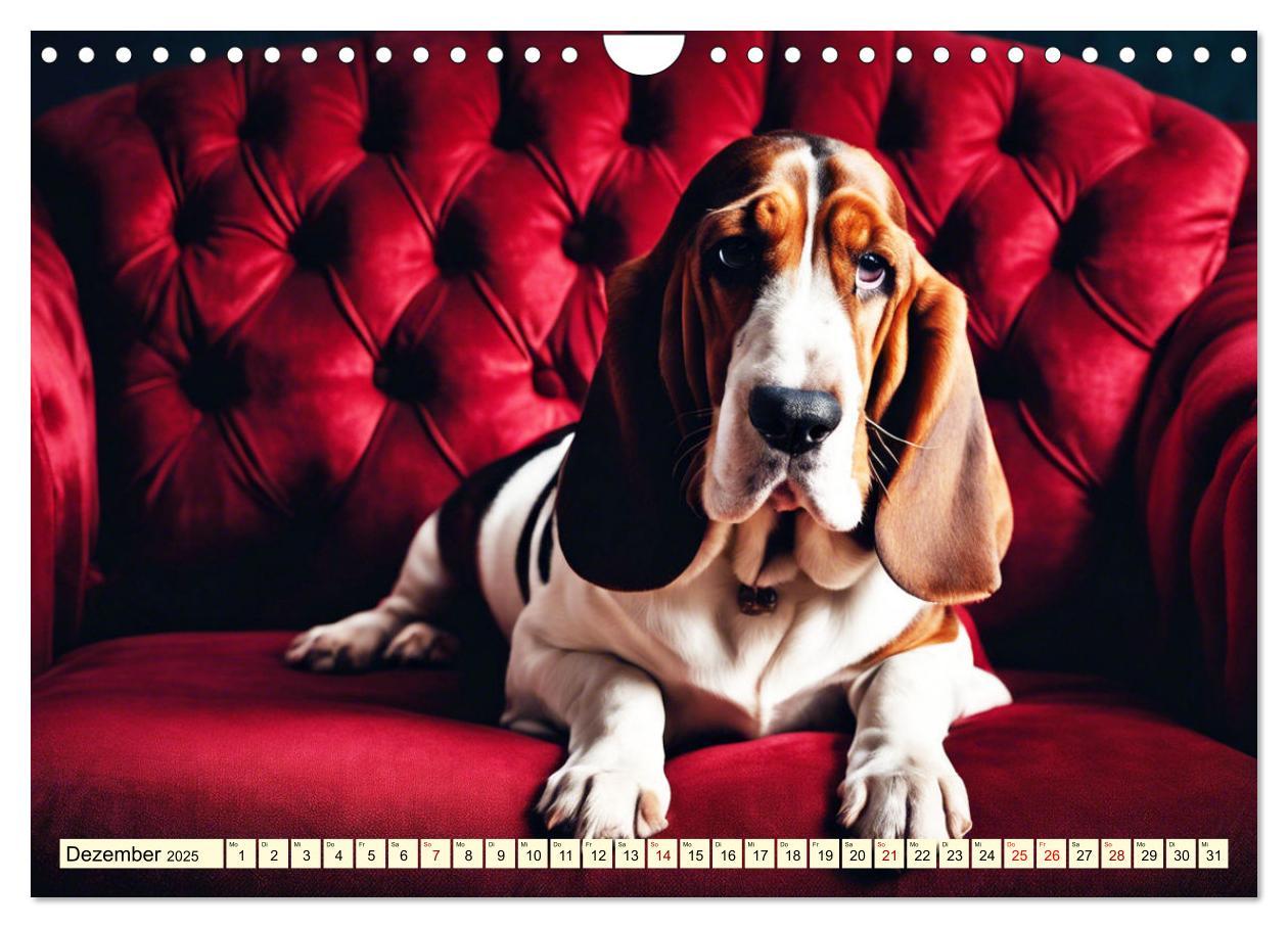 Bild: 9783457054208 | Basset Hound - unverkennbar (Wandkalender 2025 DIN A4 quer),...