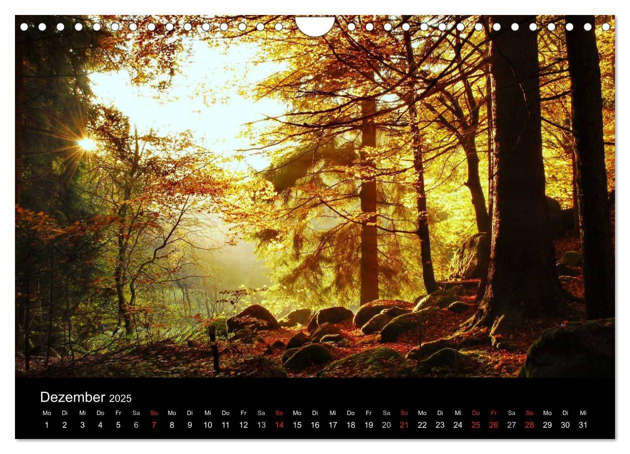 Bild: 9783435520114 | Zauberhafter Bayerischer Wald (Wandkalender 2025 DIN A4 quer),...