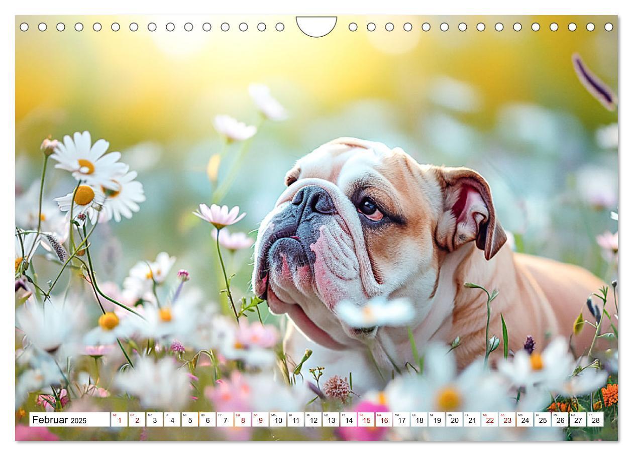 Bild: 9783383808050 | Englische Bulldoggen im Blütenmeer (Wandkalender 2025 DIN A4 quer),...