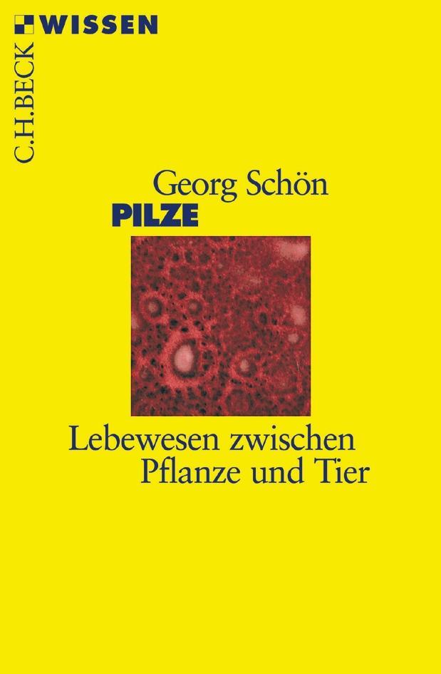 Cover: 9783406508608 | Pilze | Lebewesen zwischen Pflanze und Tier | Georg Schön | Buch