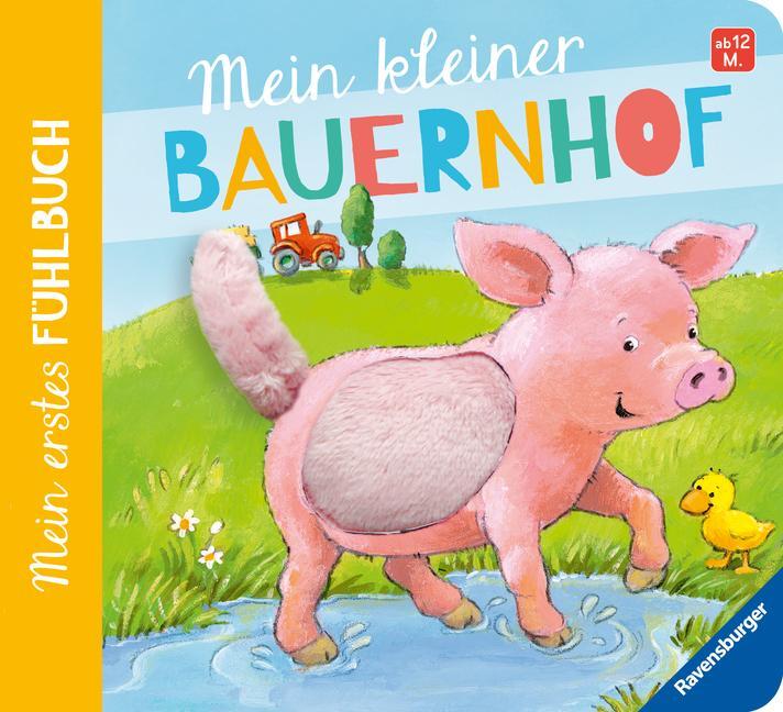Cover: 9783473432943 | Mein erstes Fühlbuch: Mein kleiner Bauernhof | Sandra Grimm | Buch