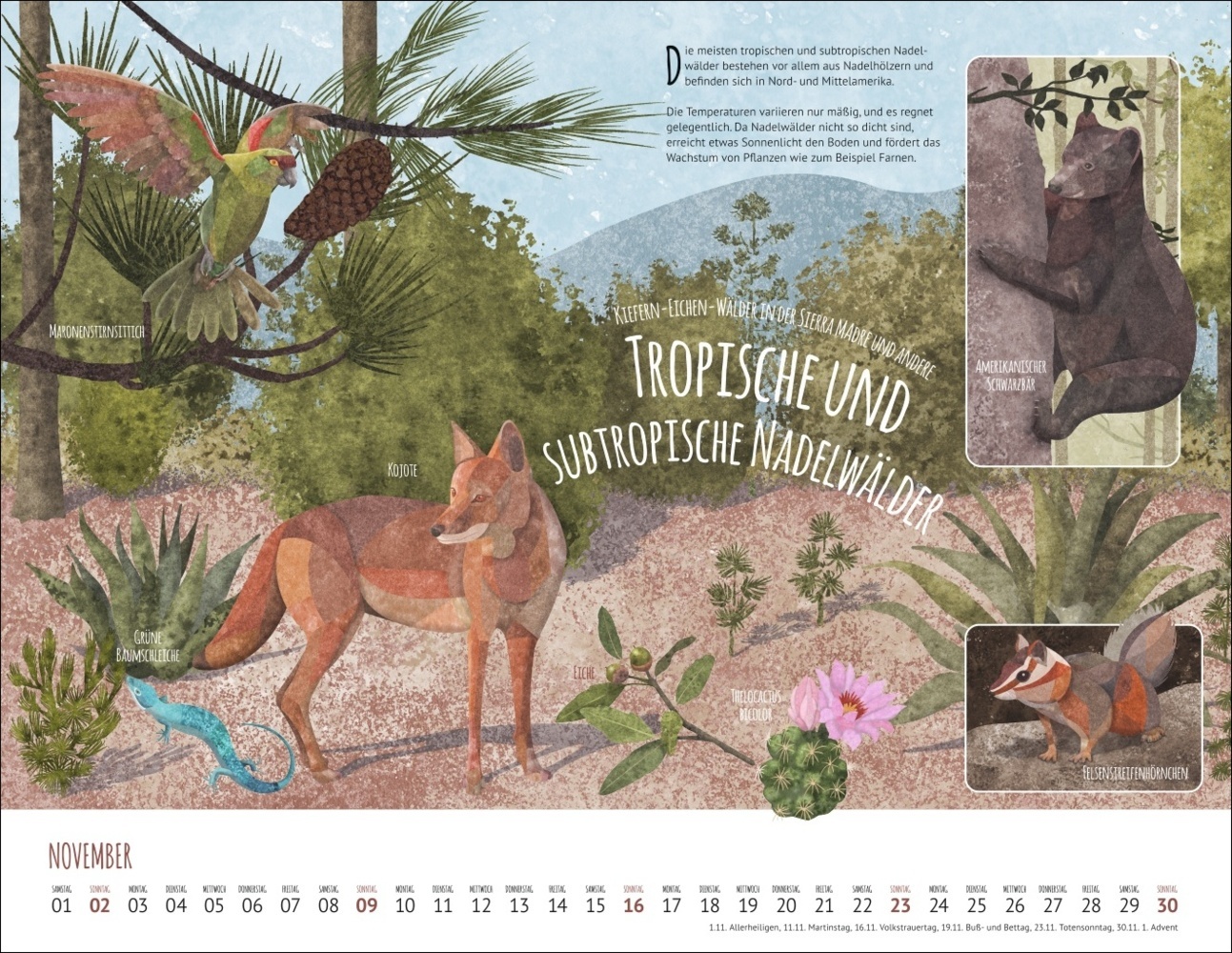 Bild: 9783839901557 | Wo Tiere und Pflanzen zu Hause sind Kalender 2025 - Biome der Welt