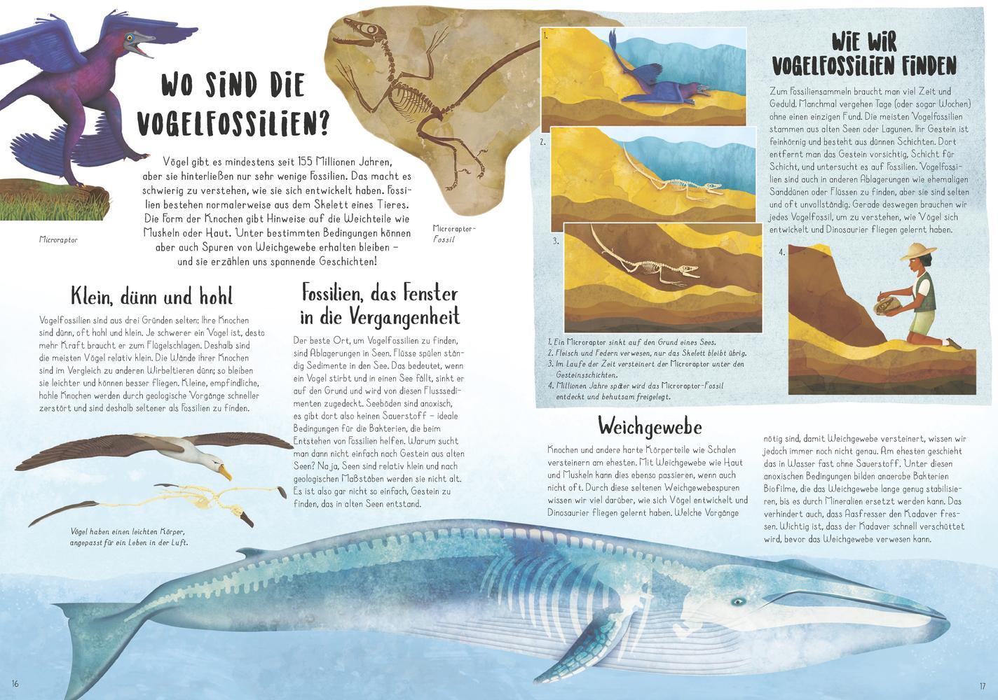 Bild: 9783957287519 | Vom Tyrannosaurus zum Huhn | Die unglaubliche Evolution der Vögel